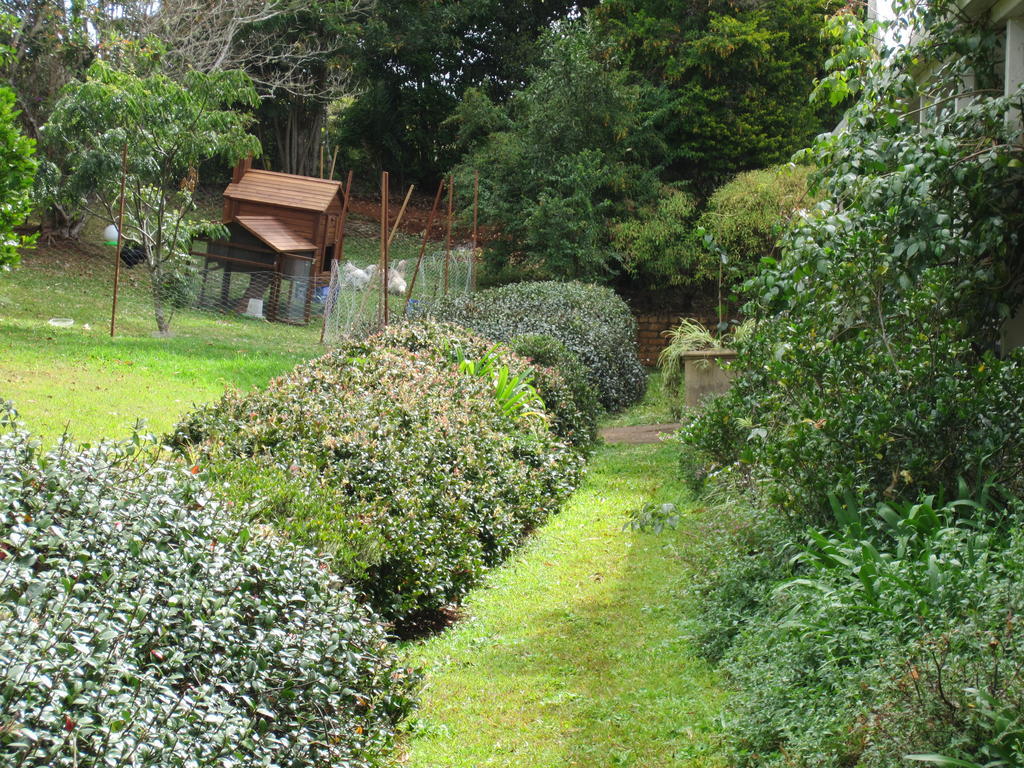Eden Lodge Nambour Luaran gambar